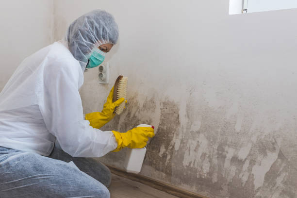 Center, CO Mold Remediation Company